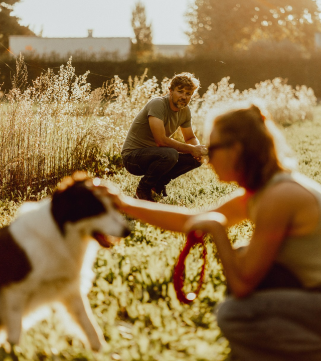 Favorieten van Stijn en Marlot