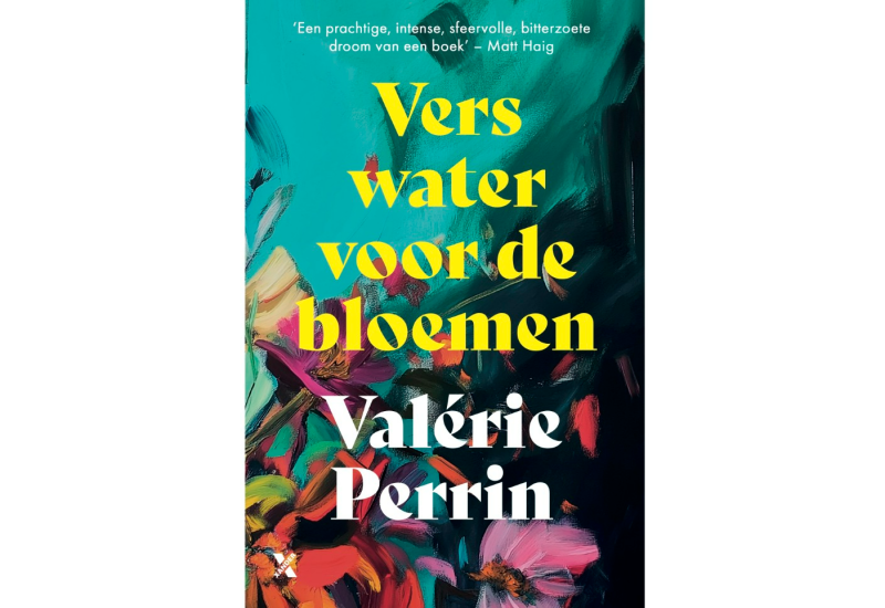 Boek wordt verfilmd in Autun