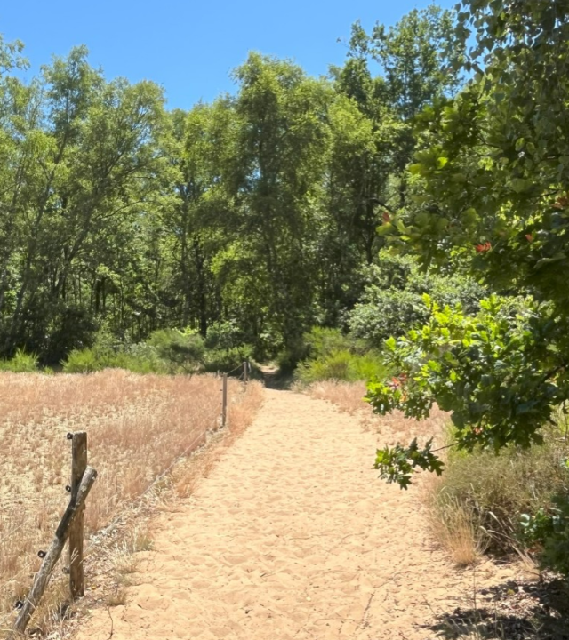 Duinen, moeras en bossen La Truchère