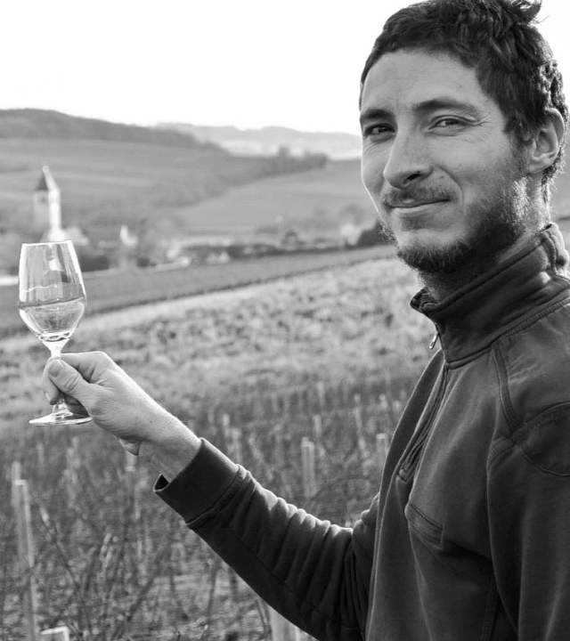 Mâconnais - Domaine Debreuille