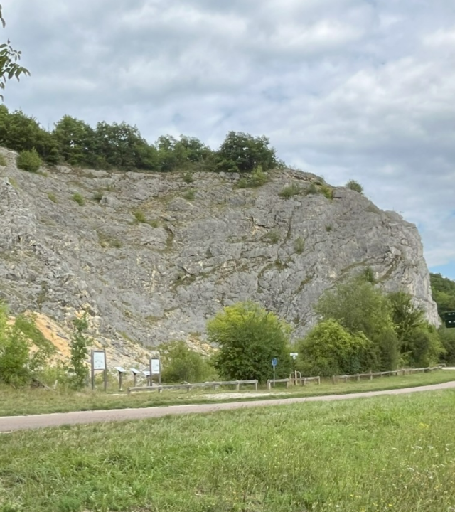 Rotsen Bois du Parc