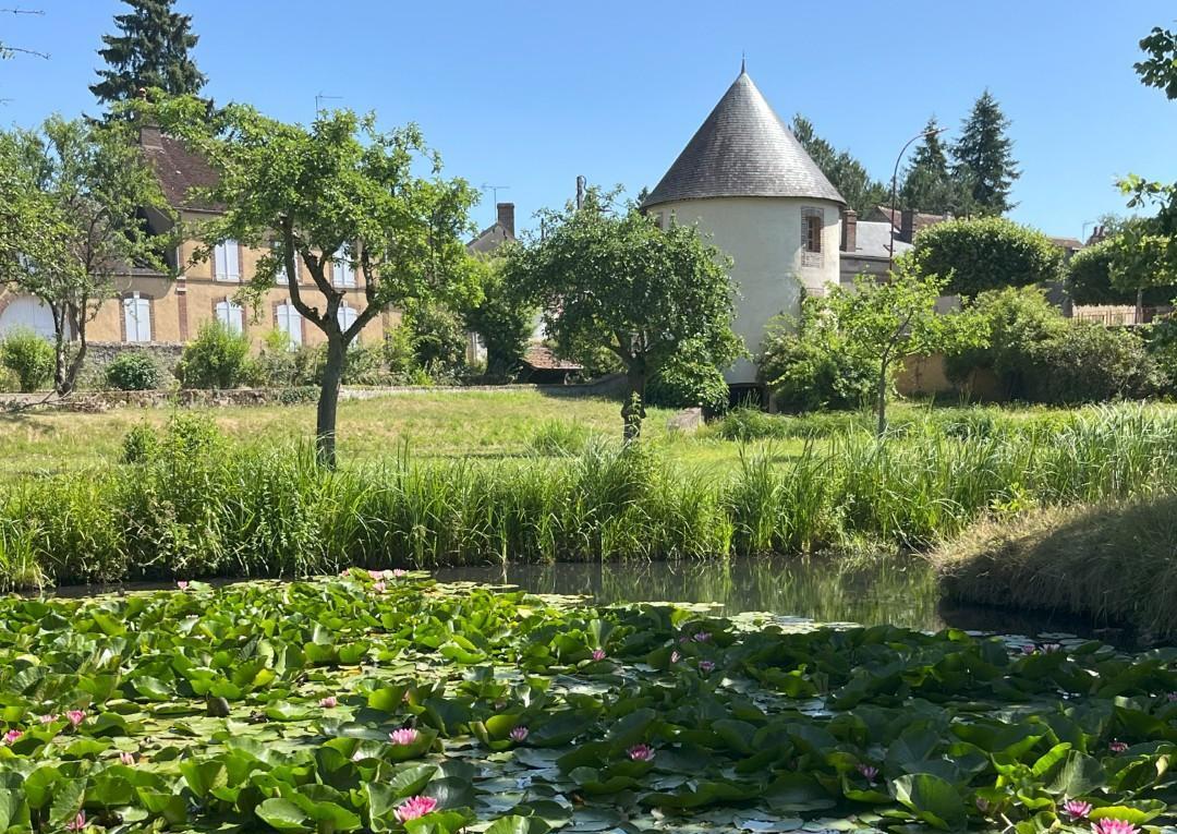Watertuin Mezilles en het kasteel van Le Fort