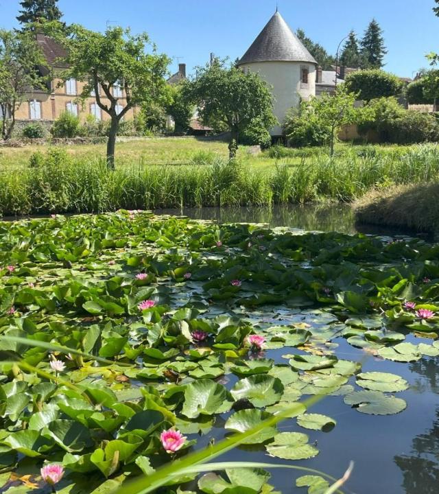 Watertuin Mezilles en het kasteel van Le Fort