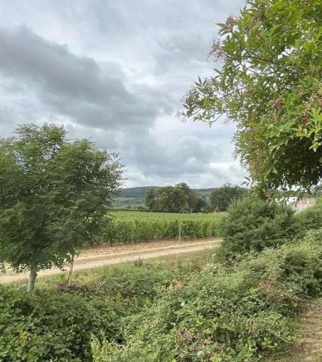 Les Jardins de l’Espérance