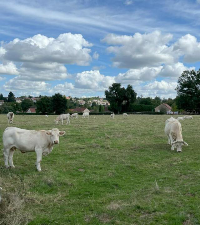 Beurdin van de Velden