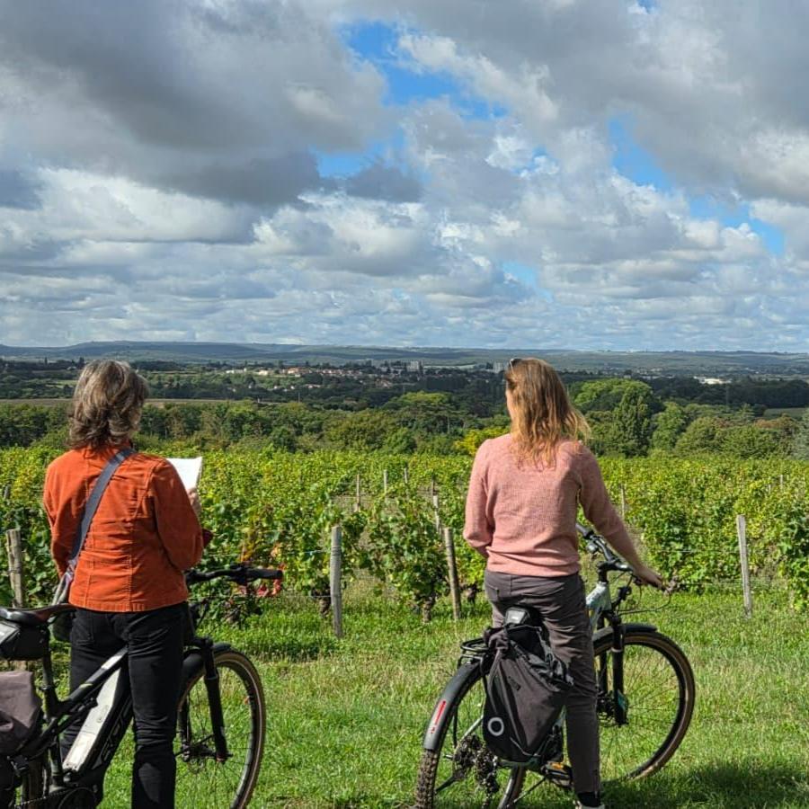 Fietsen en picknicken aan de Loire