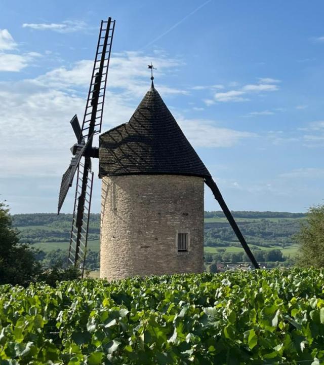 Molen van Santenay