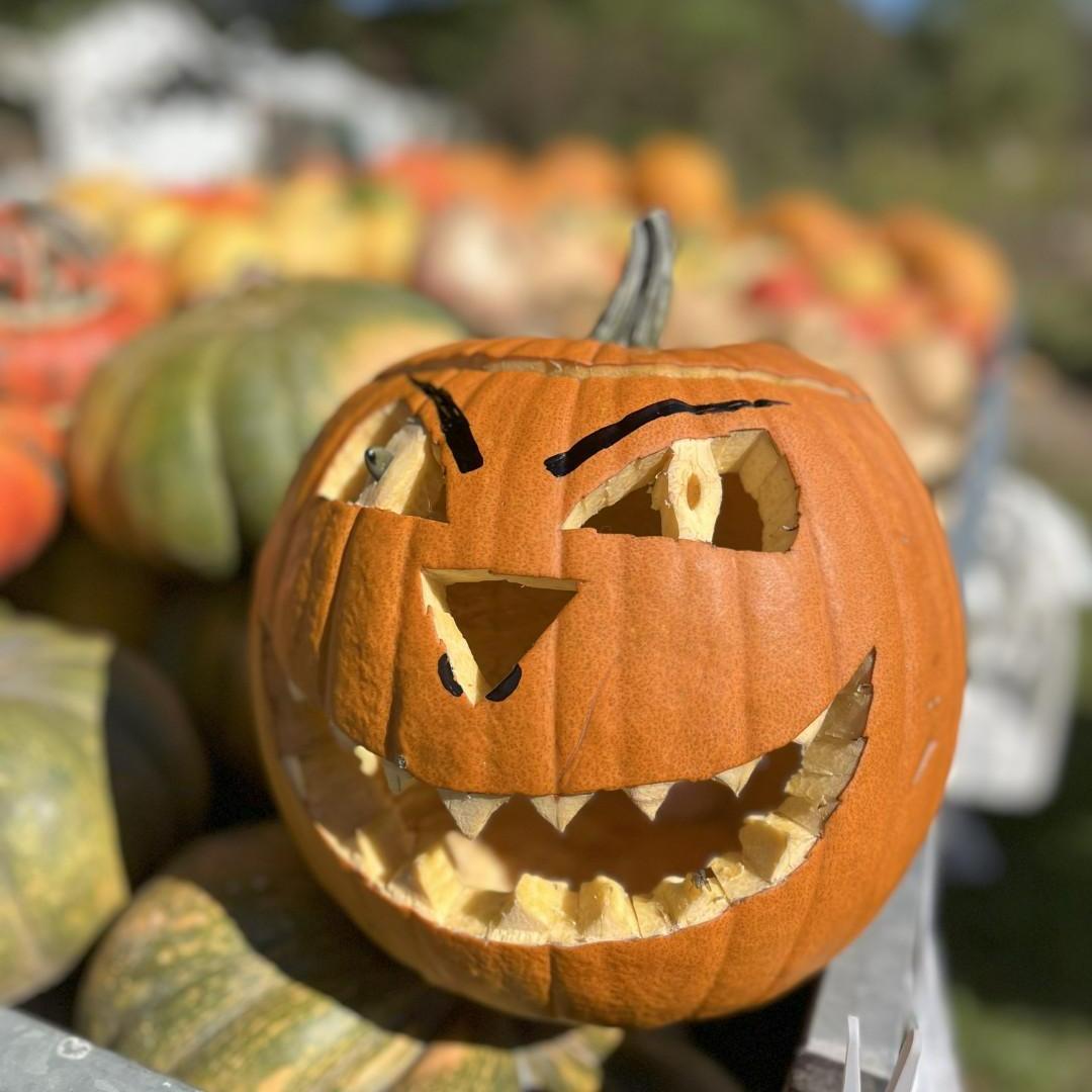 Herfstfeest Morvan