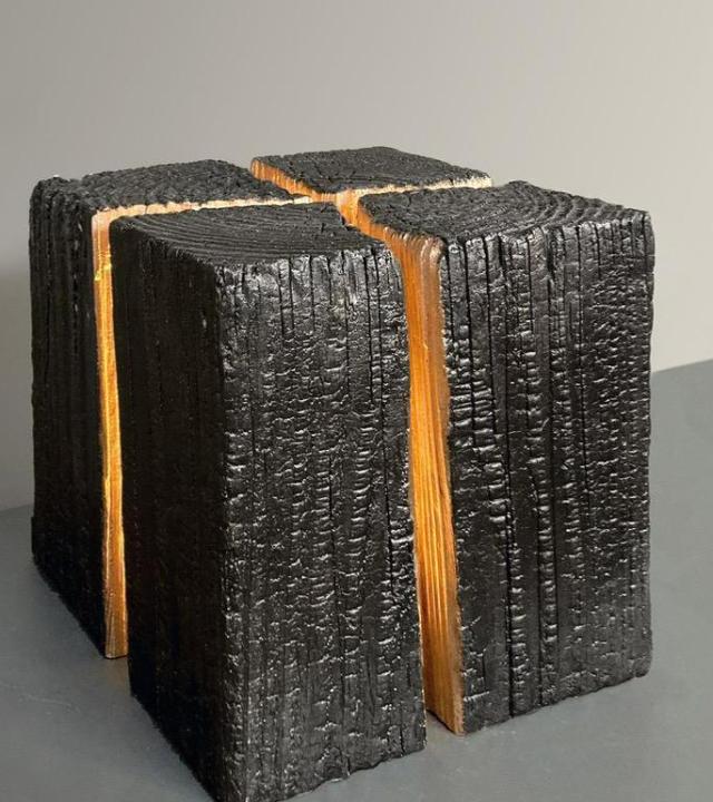 Antoniem - Ton Voortman