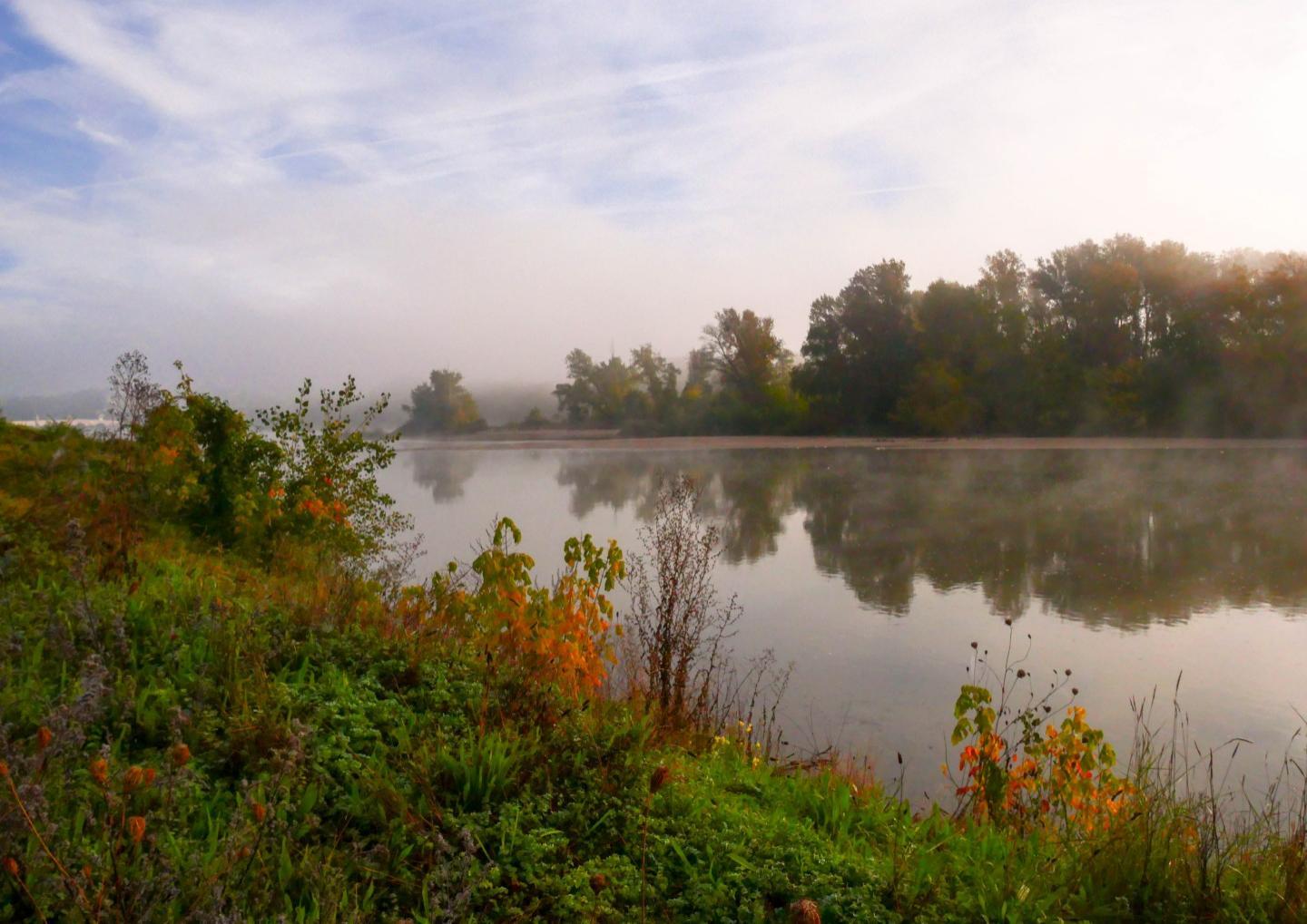 Loire en Donjon La Marche