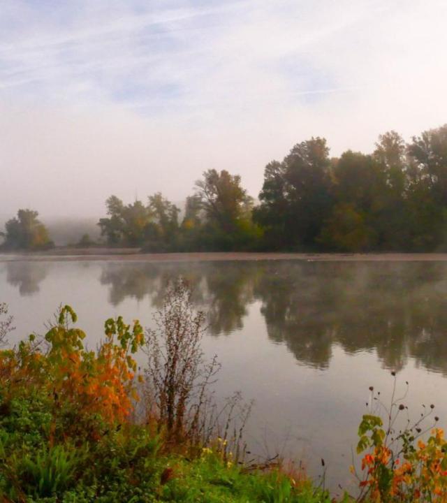 Loire en Donjon La Marche