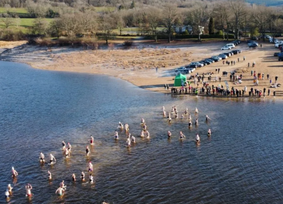 Nieuwjaarsduik nemen