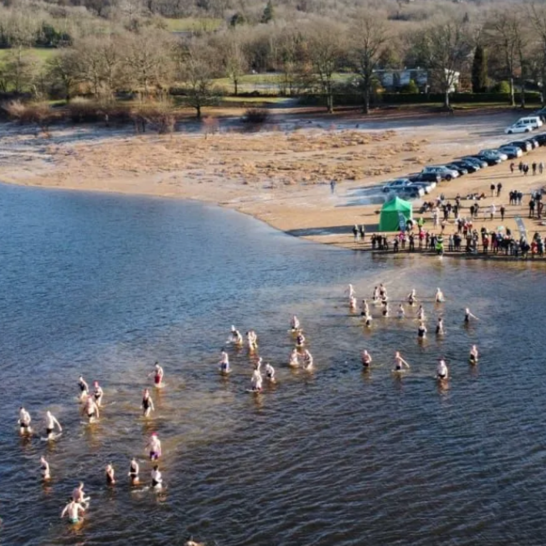 Nieuwjaarsduik nemen