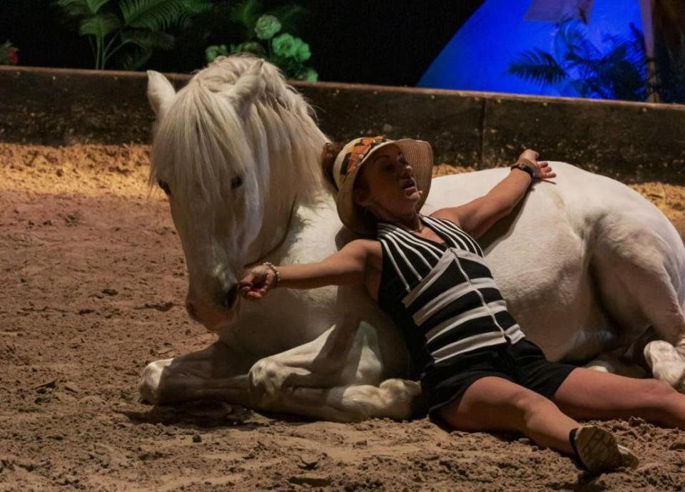 Paardenshow in Cluny
