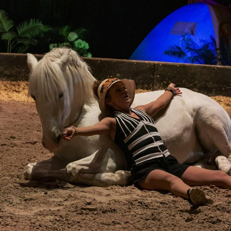 Paardenshow in Cluny