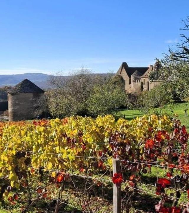 Pontus de Tyard: de dichter die de hemel wilde begrijpen