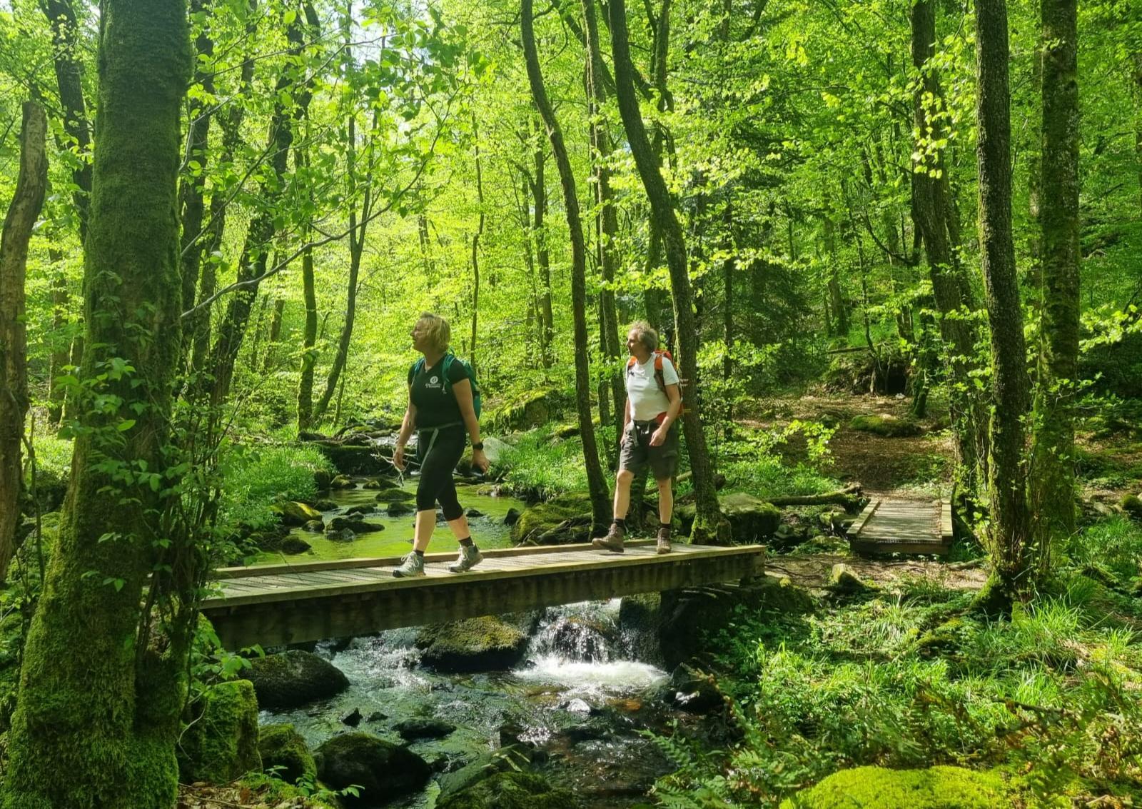 Nederlandstalige wandelingen Morvan