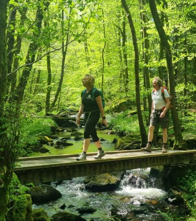 Nederlandstalige wandelingen Morvan