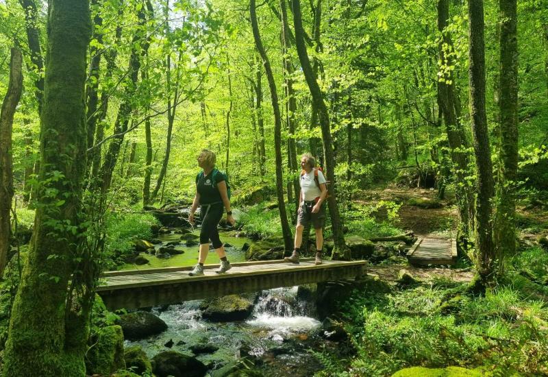 Wandelen in de Morvan met een gids