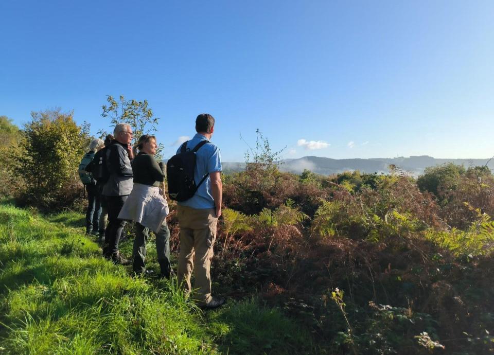 Wandeling Etang de Queudre, Sanglier (Villapourçon)