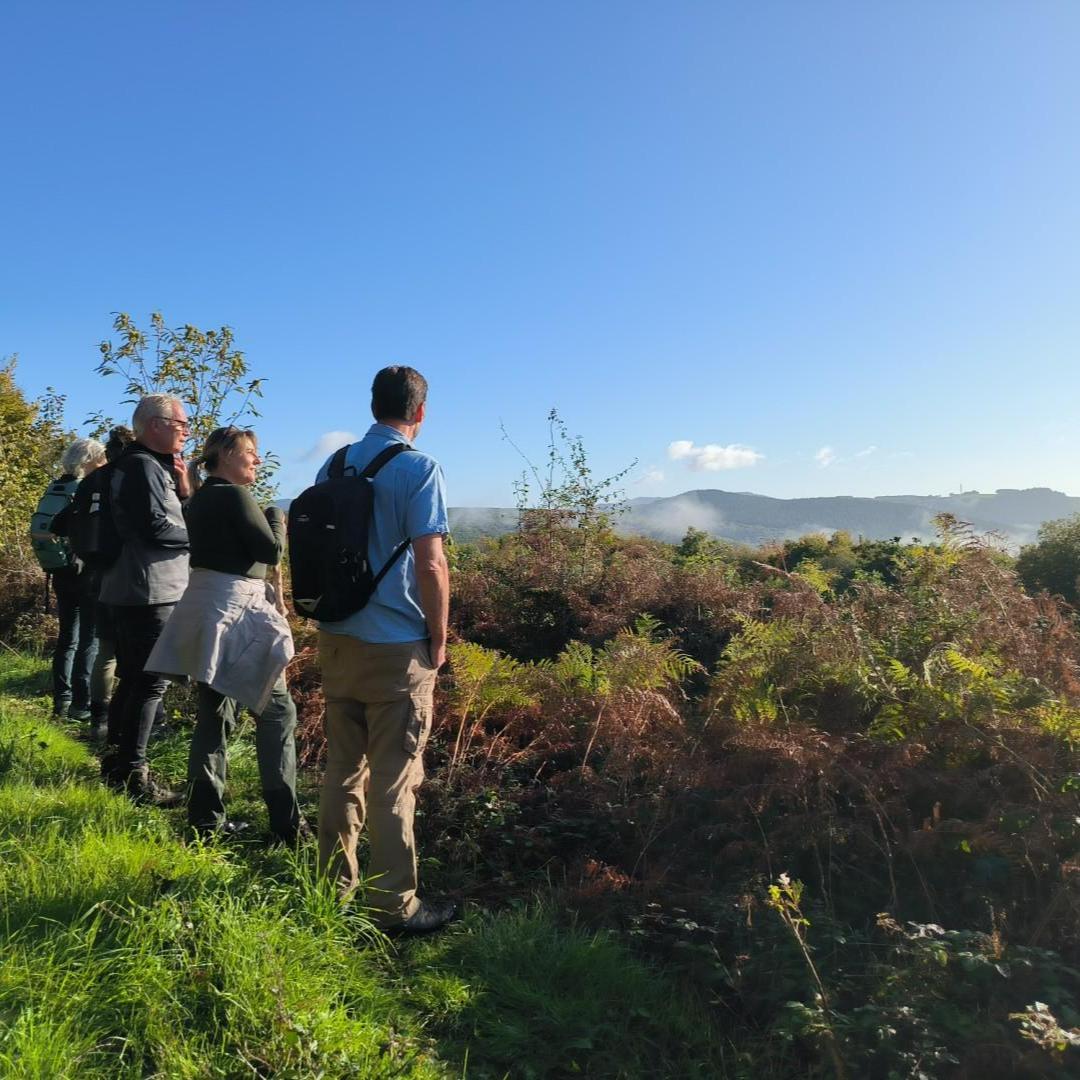 Wandeling Etang de Queudre, Sanglier (Villapourçon)