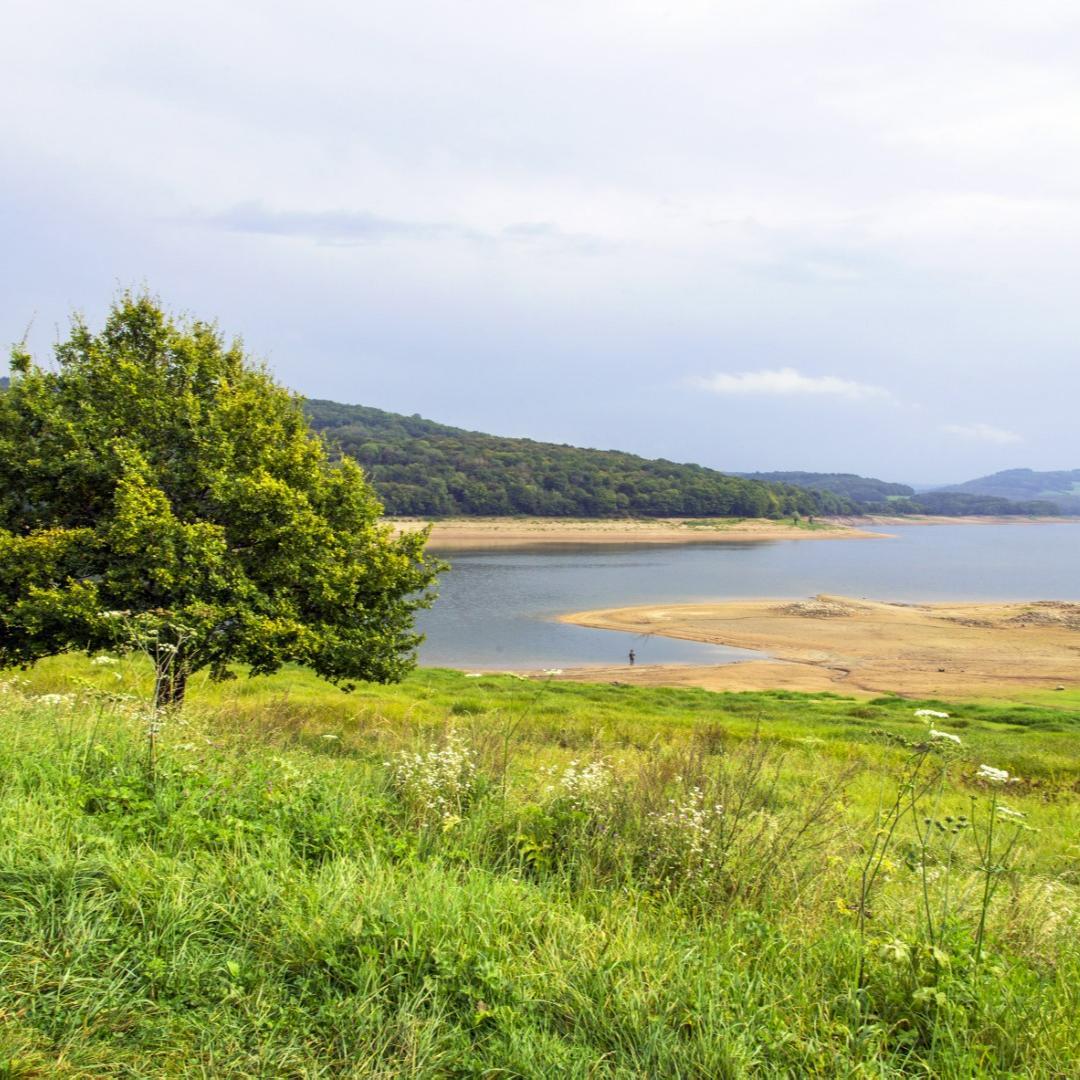 Wandeling Les Rives du Lac de Pannecière, Montigny-en-Morvan