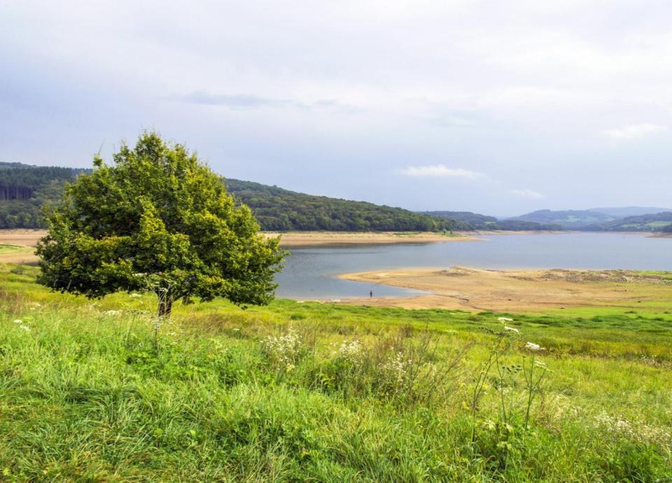 Wandeling Les Rives du Lac de Pannecière, Montigny-en-Morvan