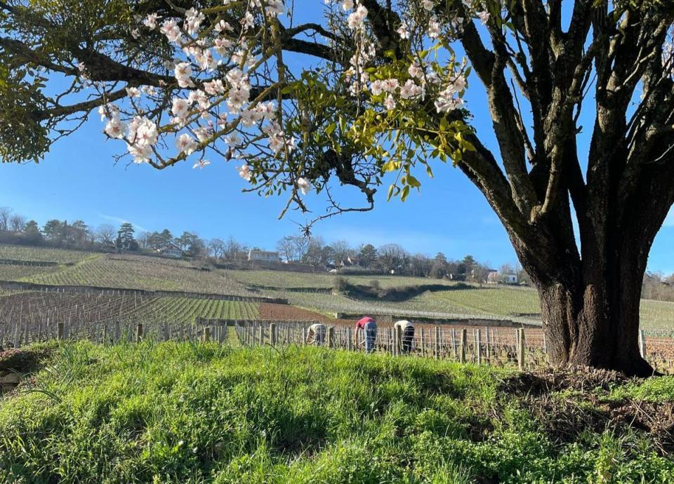 Dag UNESCO-werelderfgoed