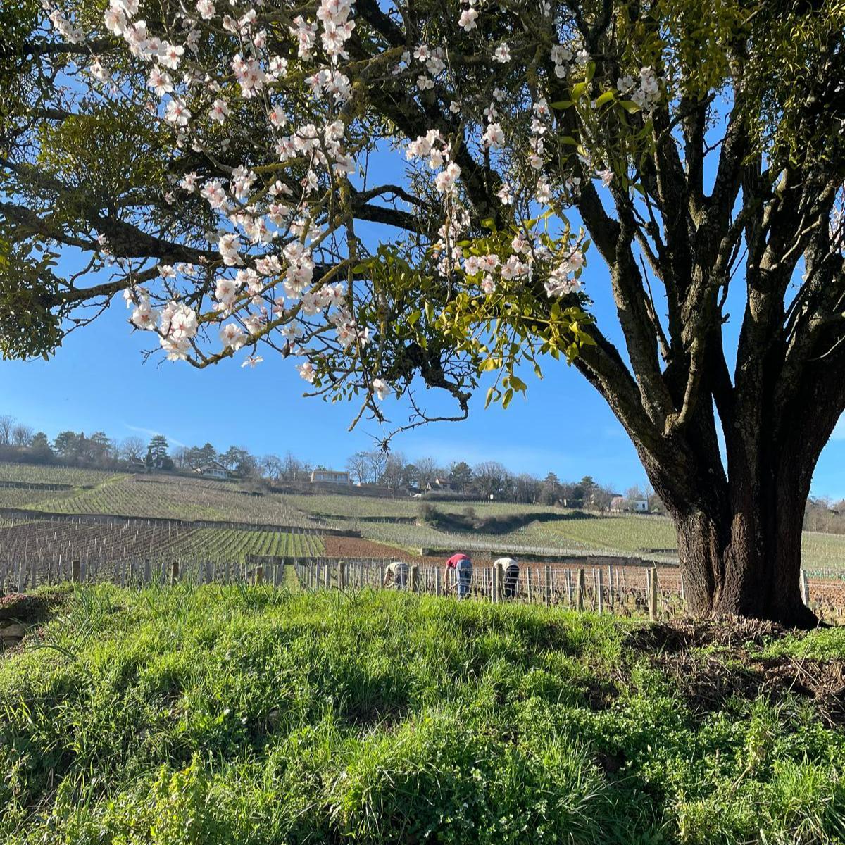 Dag UNESCO-werelderfgoed