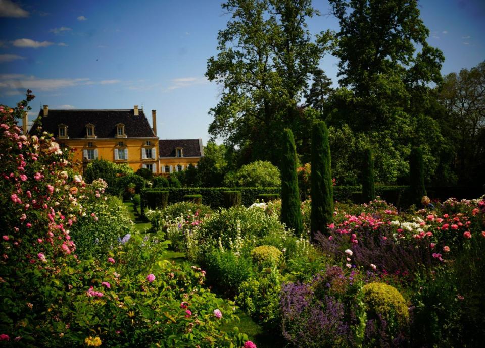 Opentuindagen Jardin de la Bouthière - Boompioenen
