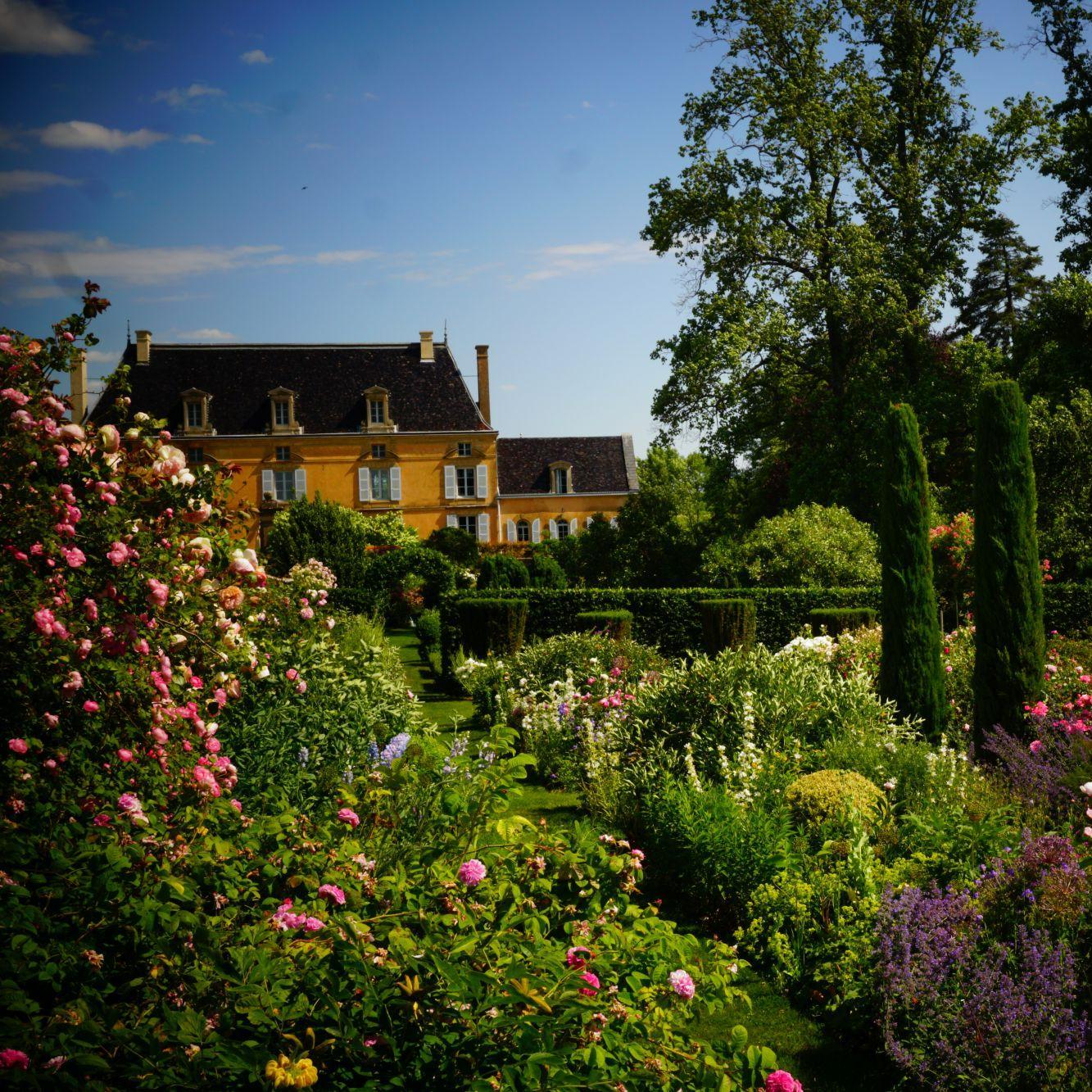 Opentuindagen Jardin de la Bouthière - Boompioenen