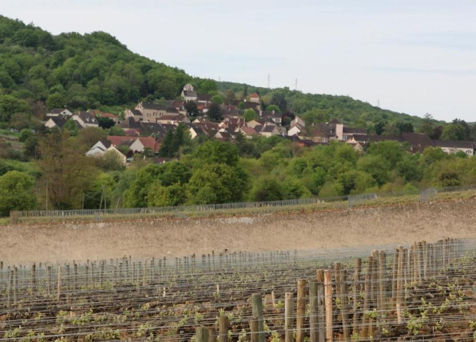 Bouzeron viert het  verschil