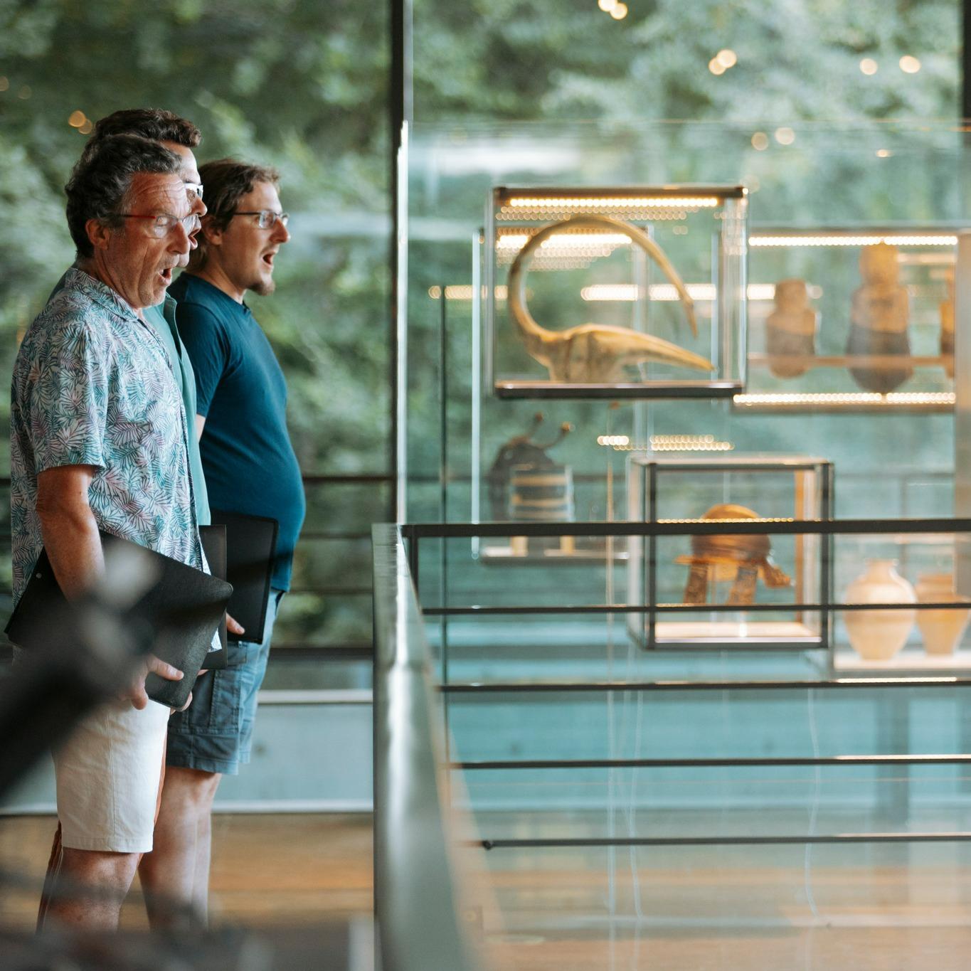 Avondconcert Anima in Bibracte