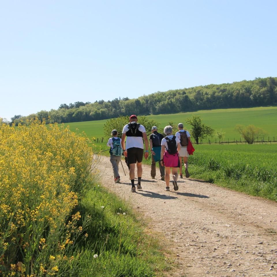 Wandelen