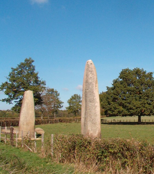 Menhirs van Epoigny