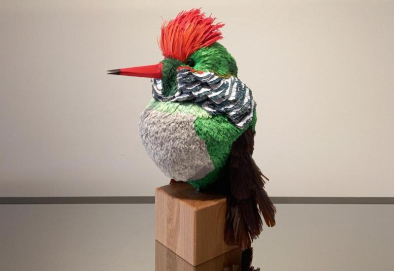 Expositie vogels van papier