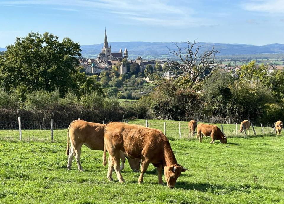 Wandeling Zicht op Autun