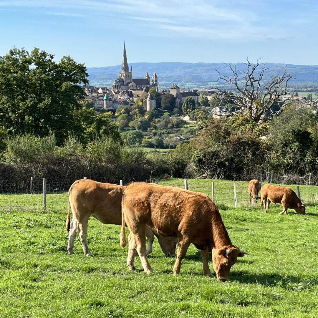 Wandeling Zicht op Autun