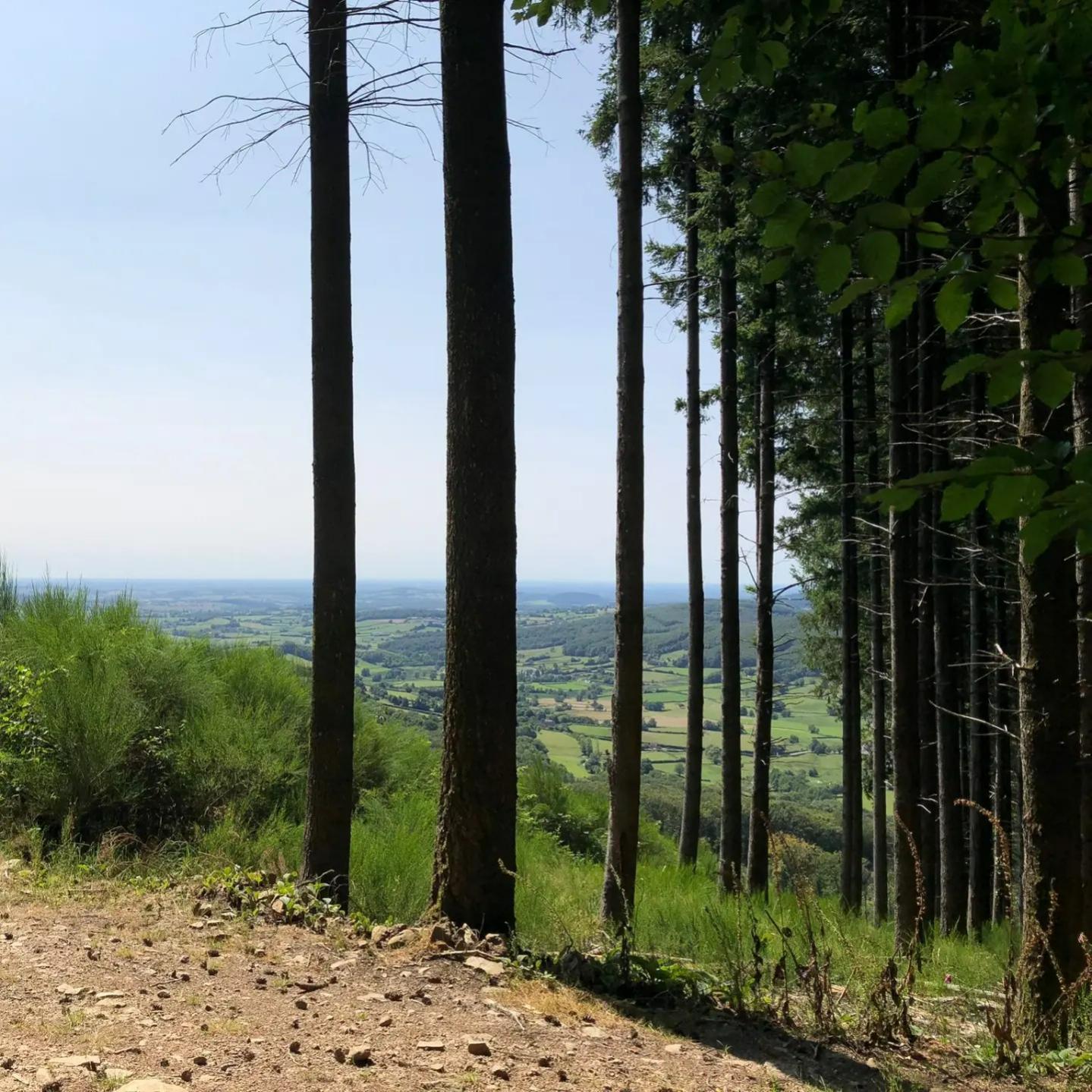 Wandeling La Goutte Noire