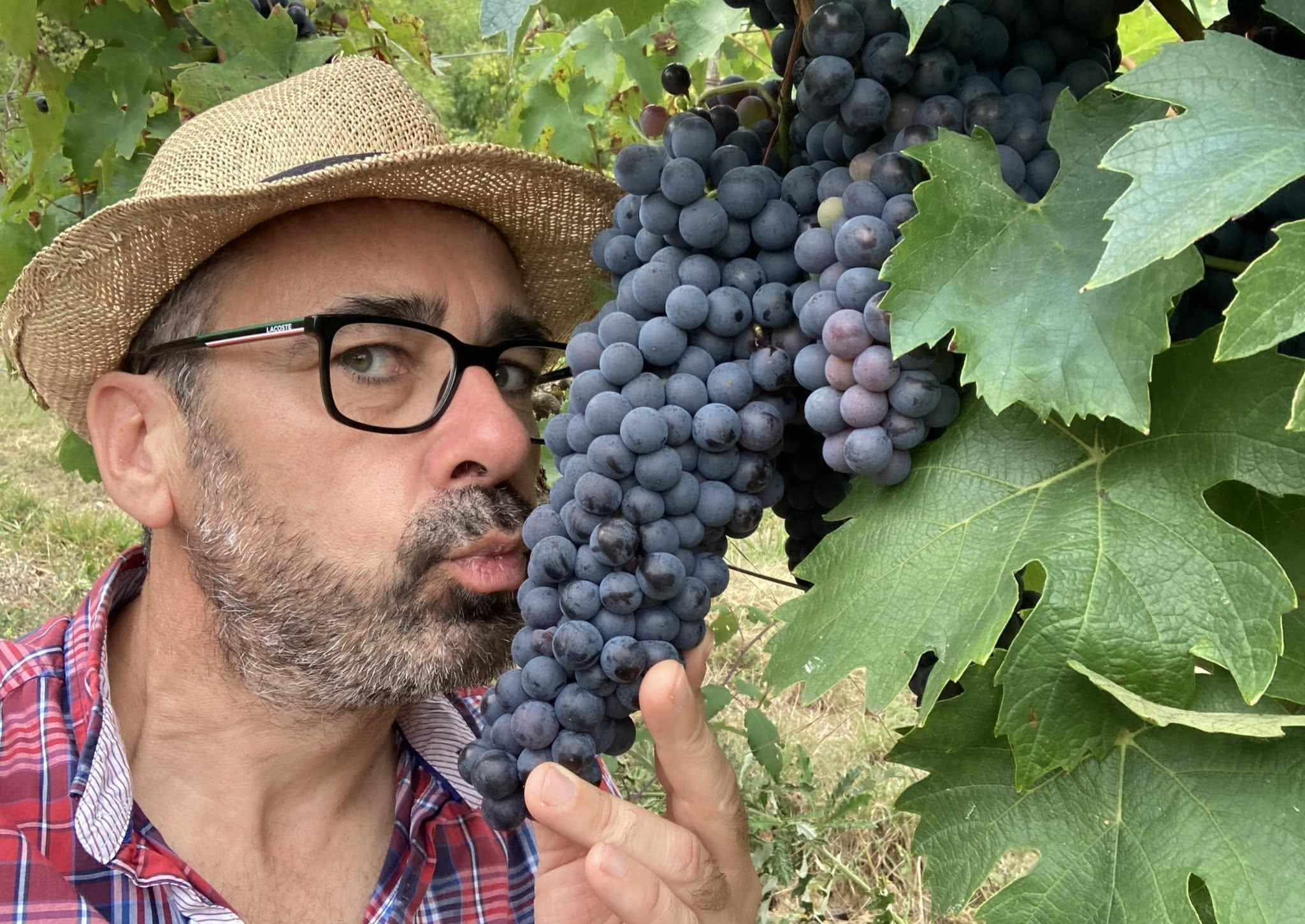 Domaine de Flavigny-Alésia