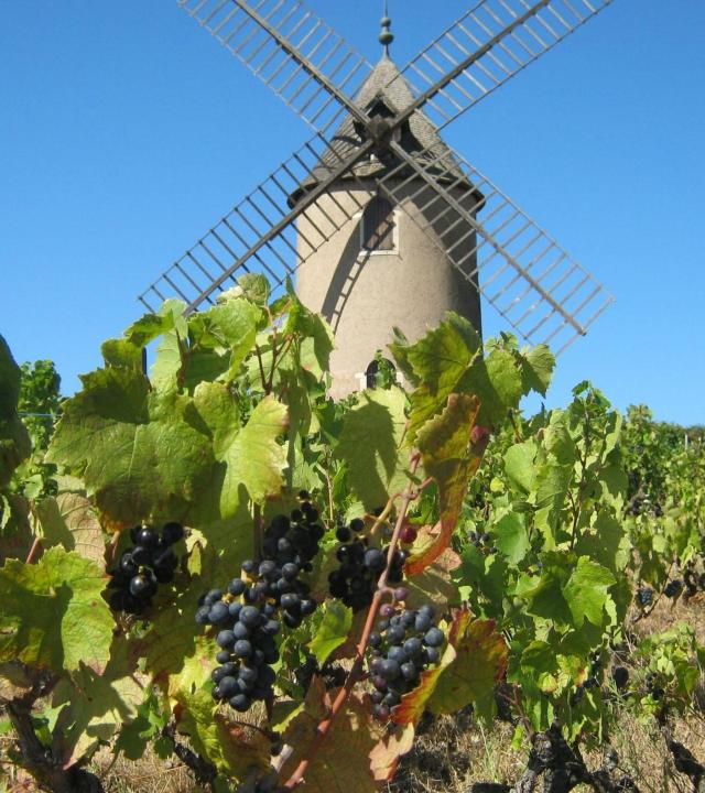 Molen van Romanèche-Thorins