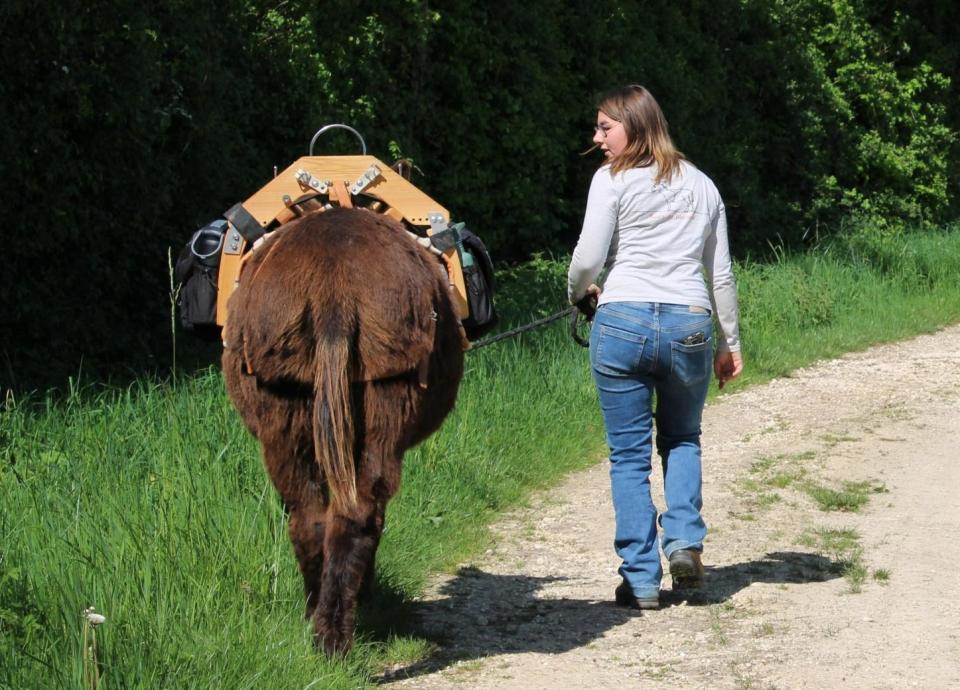 Excursie met ezels langs pareltjes van Menou