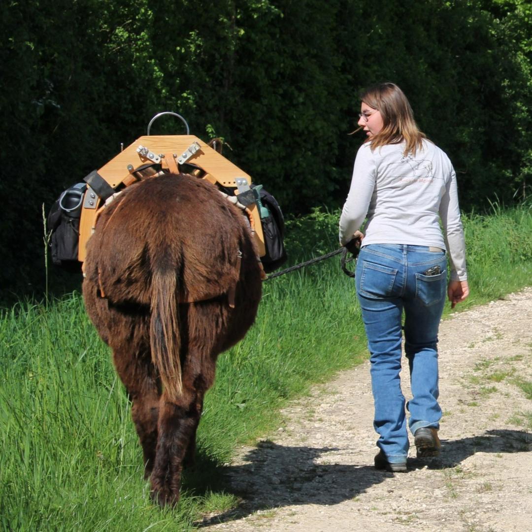 Excursie met ezels langs pareltjes van Menou