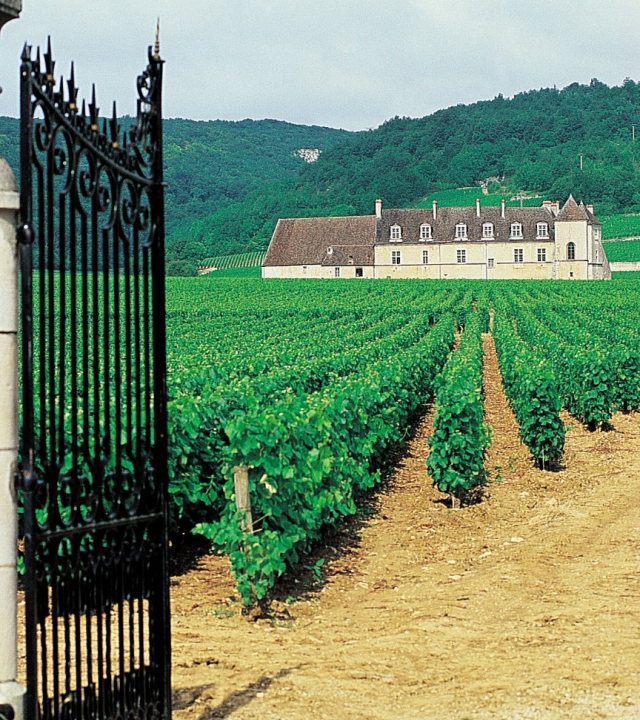 Kasteel Le Clos de Vougeot