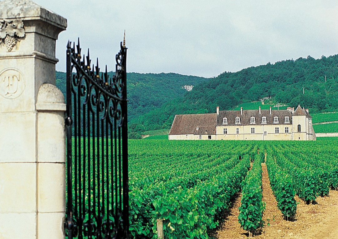 Kasteel Le Clos de Vougeot