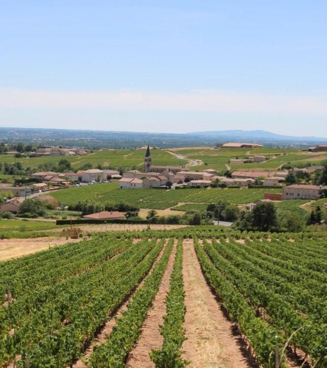 Wijnroute noordelijke Beaujolais