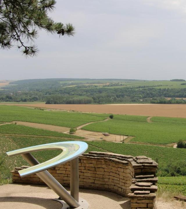 Grands Crus van Chablis