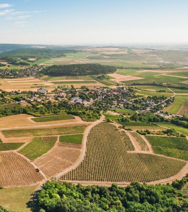 Haute-Côtes
