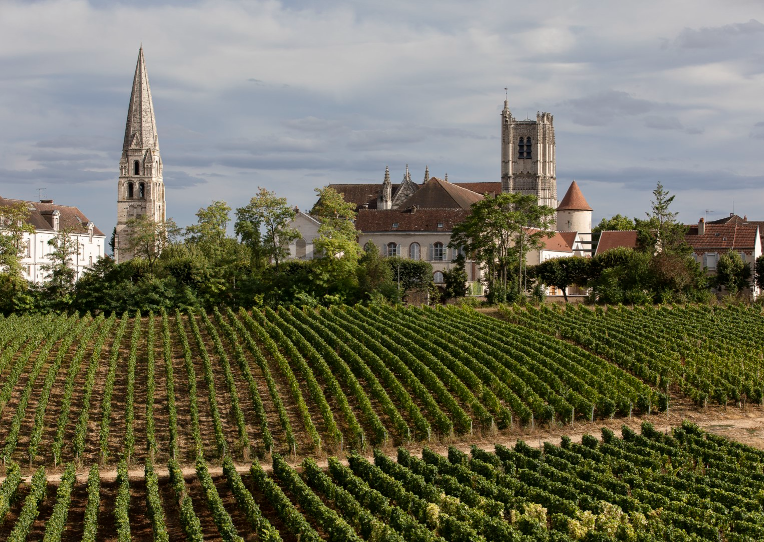 Clos de la Chainette