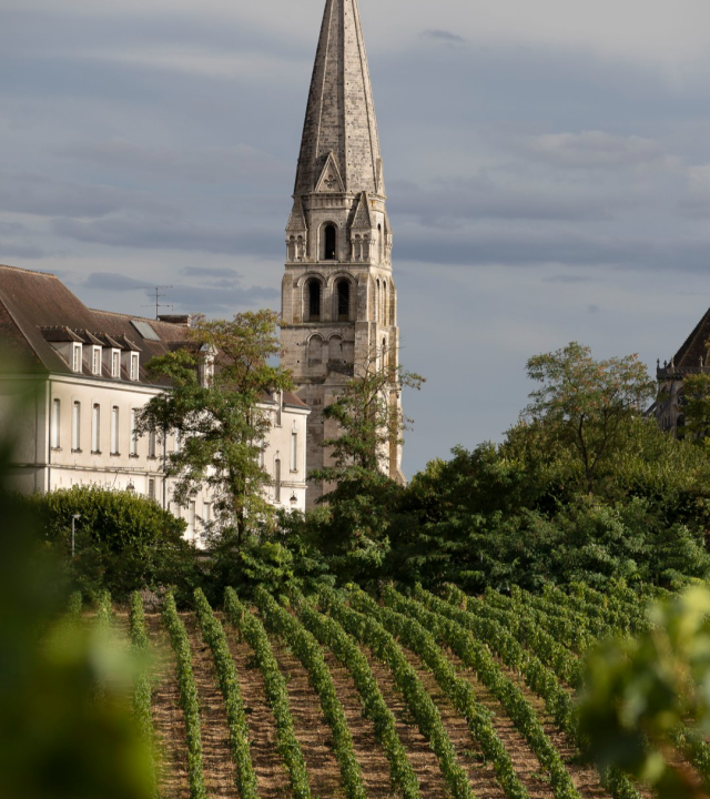 Clos de la Chainette